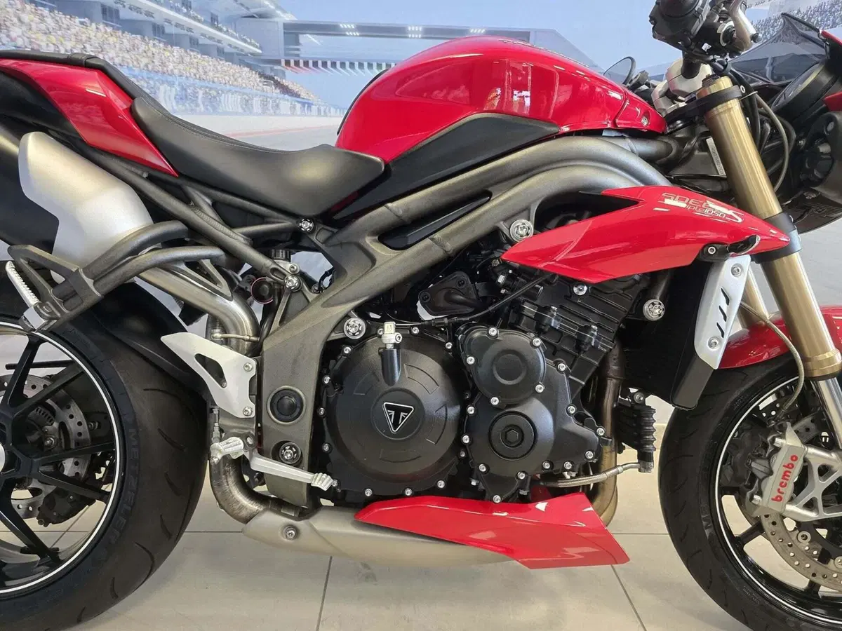 Triumph Speed Triple 1050 S ABS (2016 - 17) (14)