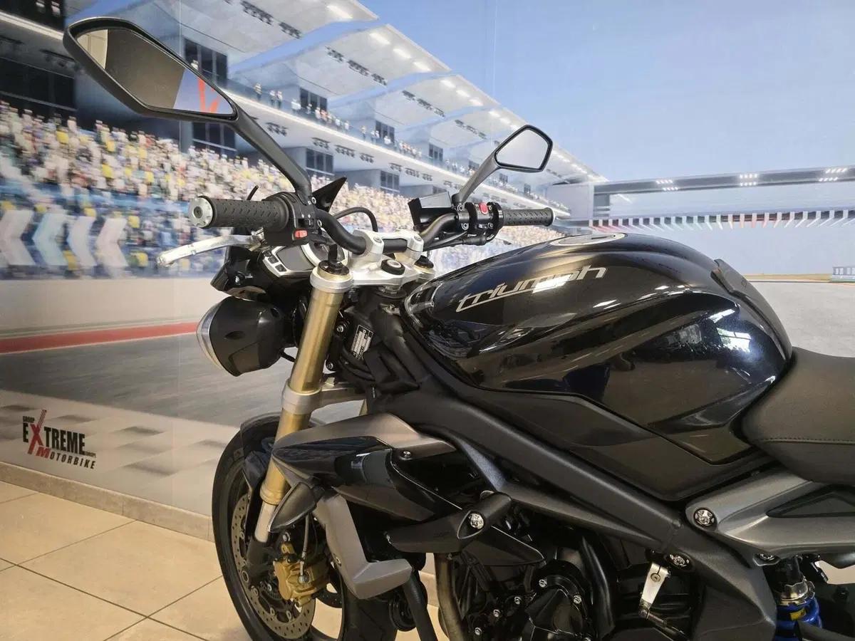 Triumph Street Triple ABS (2013 - 17) (5)