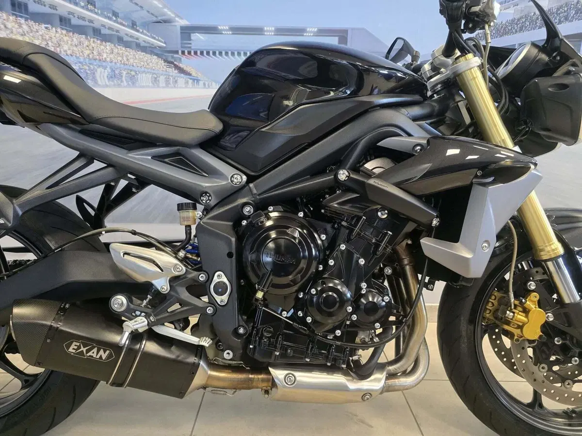 Triumph Street Triple ABS (2013 - 17) (15)
