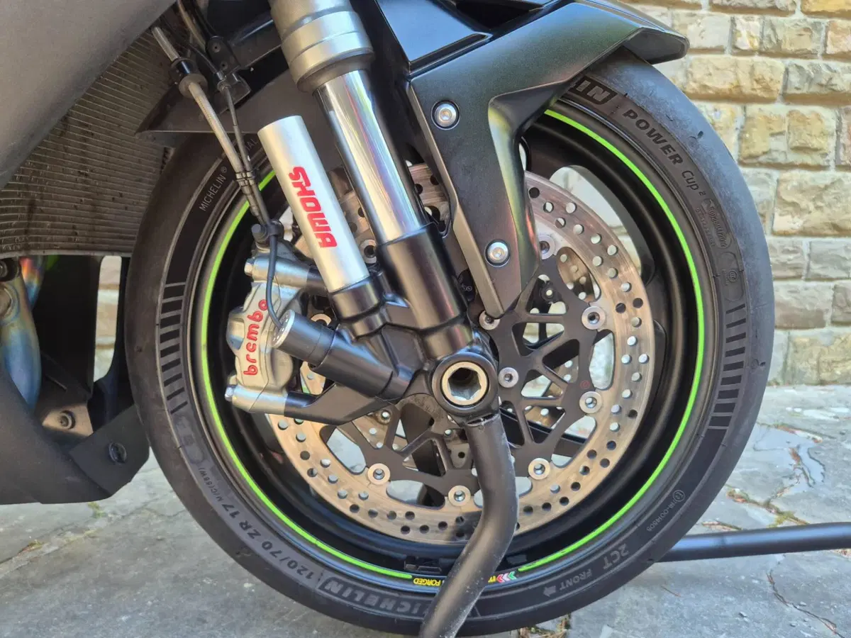 Kawasaki Ninja 1000 ZX-10R SE (2018) (5)