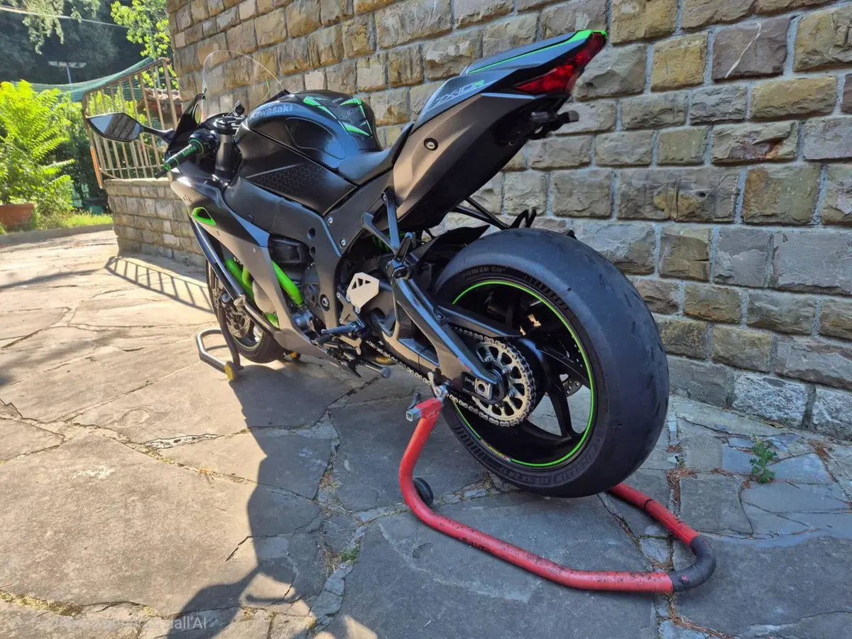 Kawasaki Ninja 1000 ZX-10R SE (2018) (7)