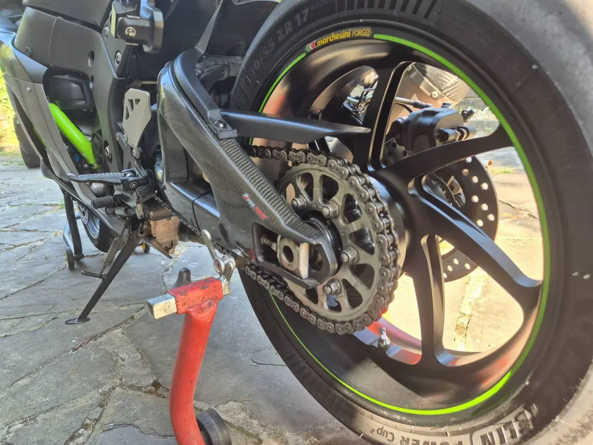 Kawasaki Ninja 1000 ZX-10R SE (2018) (8)