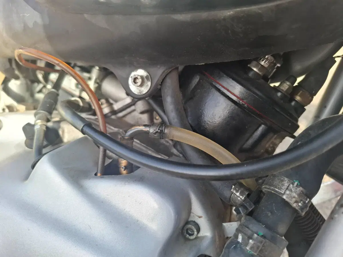 Aprilia Red Rose 50 (1987 - 89) (6)