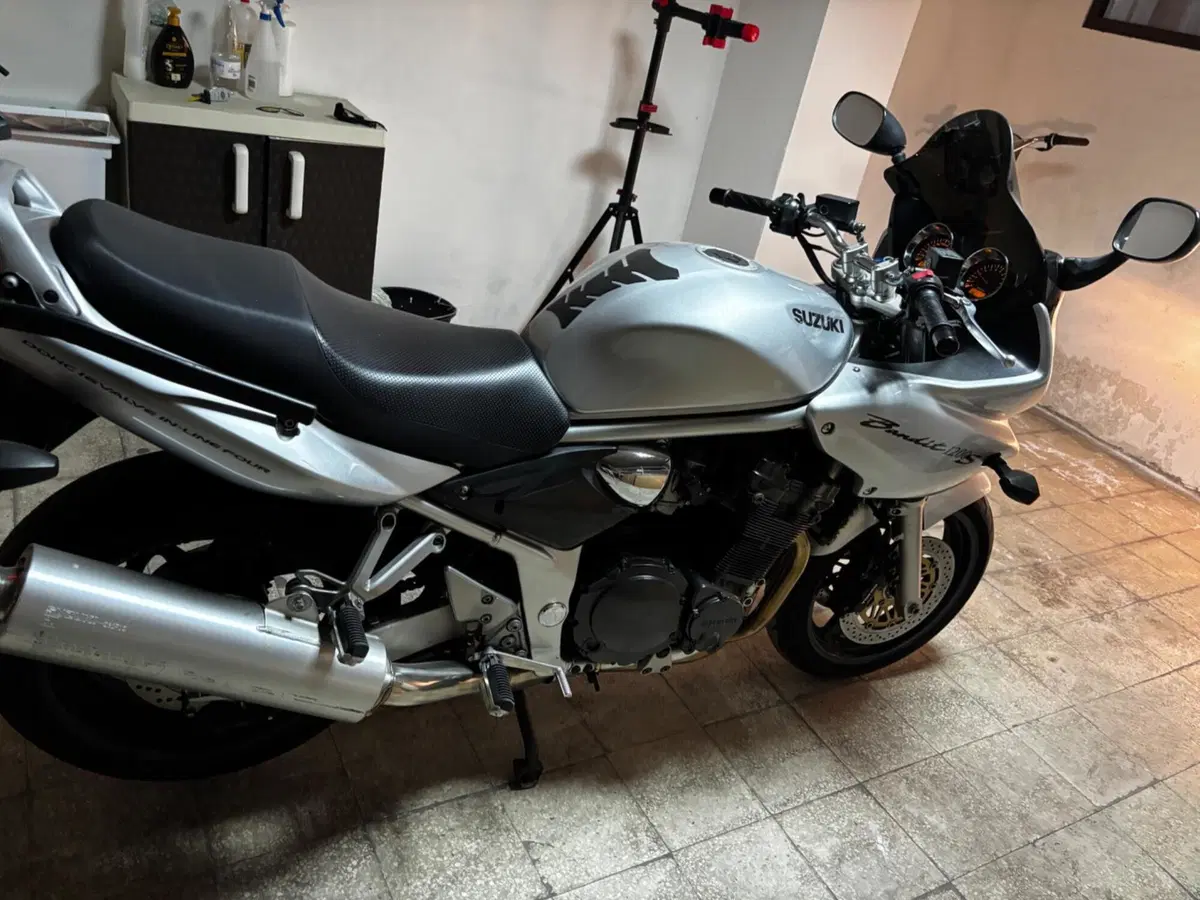 Suzuki GSF 1200 Bandit S (1997 - 00) (8)