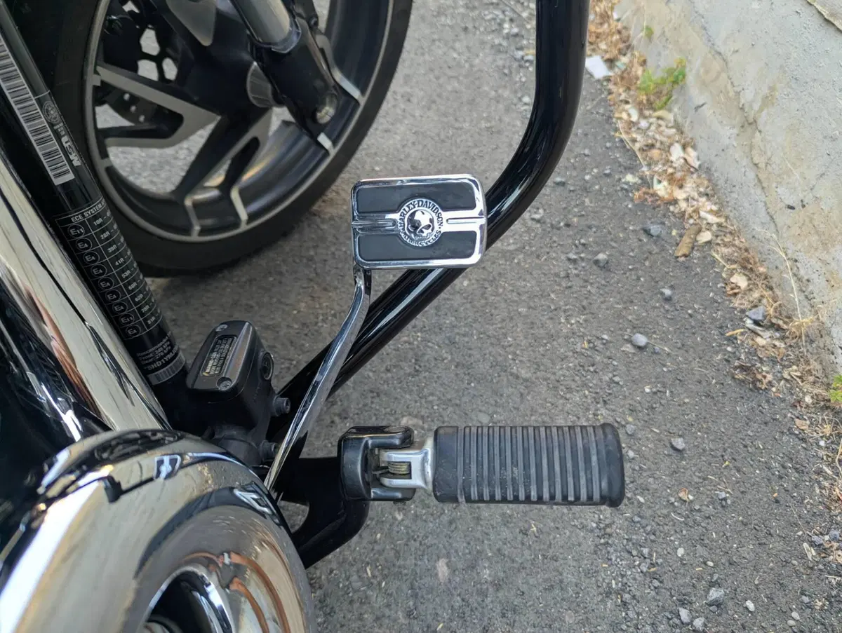 Harley-Davidson 107 Sport Glide (2018 - 20) (6)