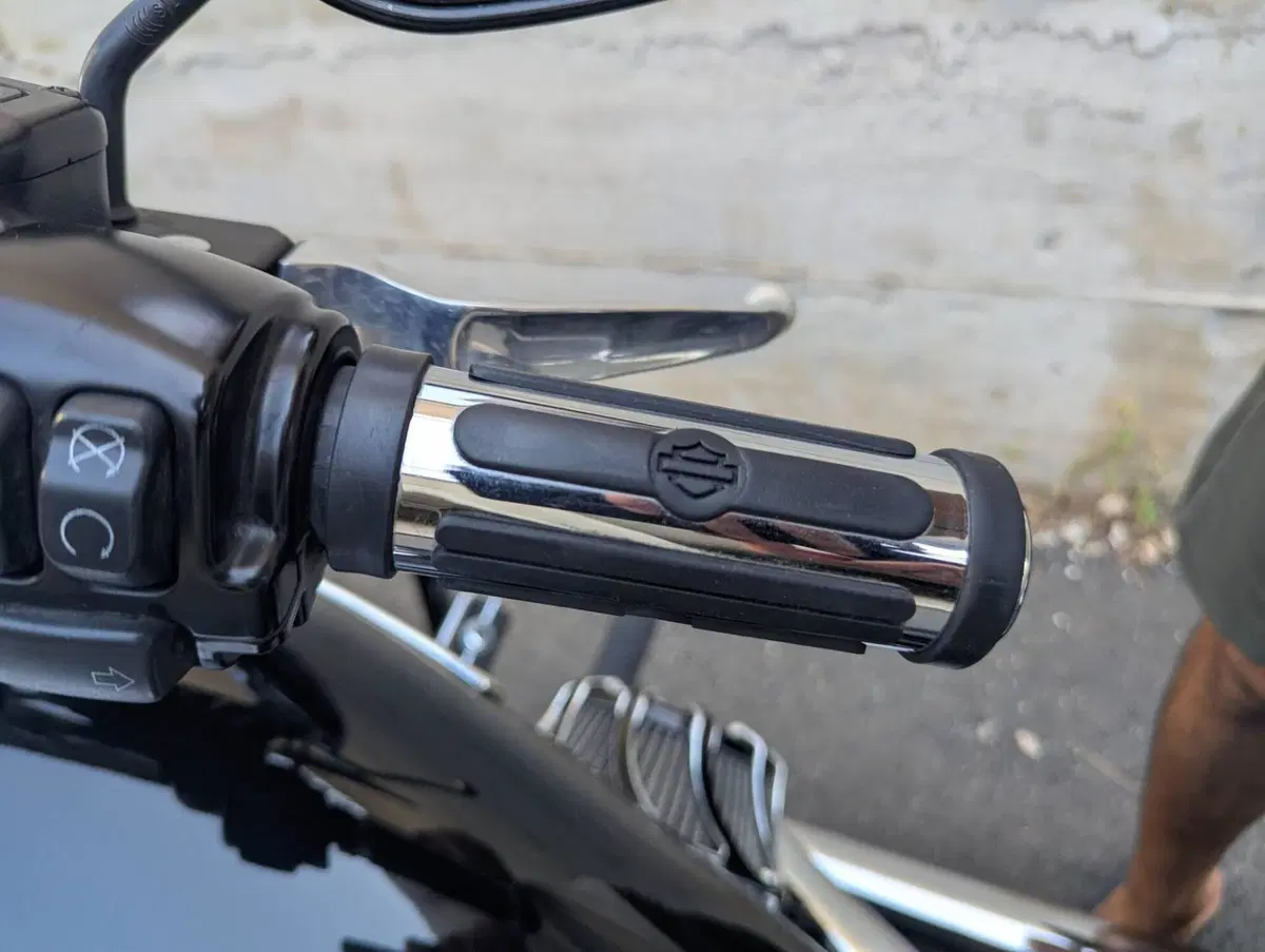 Harley-Davidson 107 Sport Glide (2018 - 20) (8)