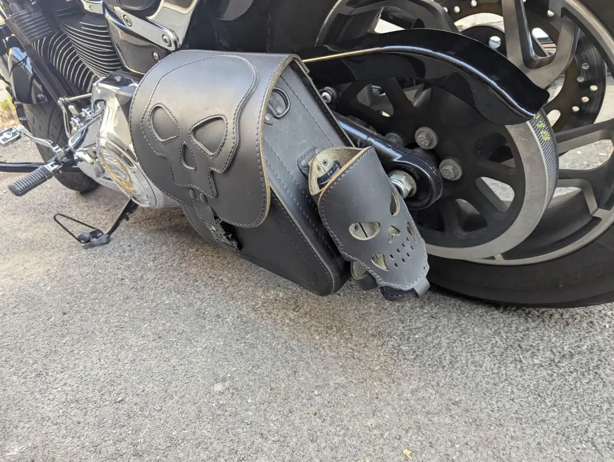 Harley-Davidson 107 Sport Glide (2018 - 20) (10)