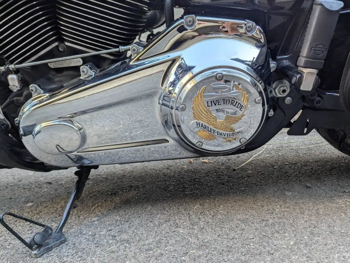 Harley-Davidson 107 Sport Glide (2018 - 20) (11)
