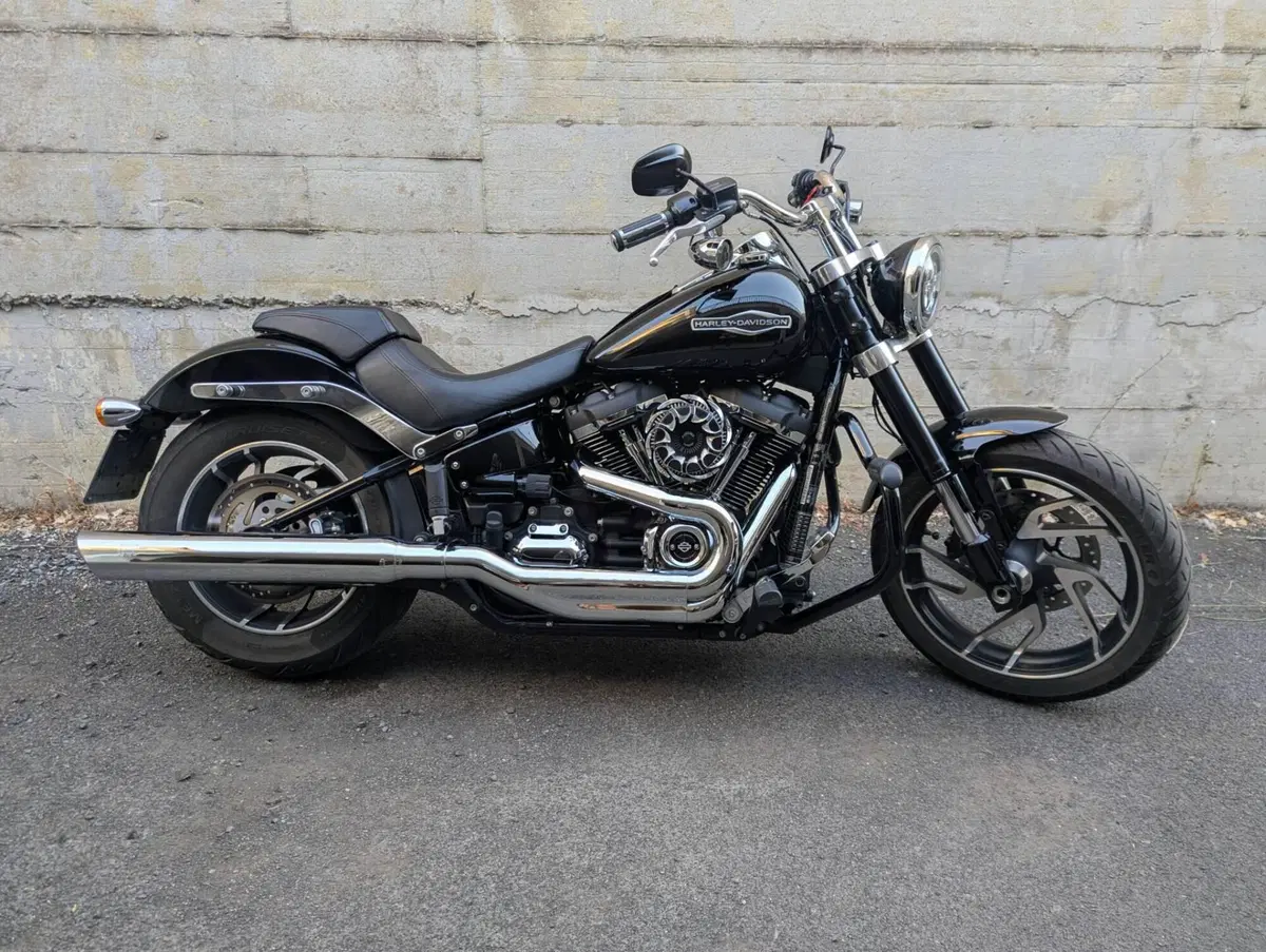 Harley-Davidson 107 Sport Glide (2018 - 20) (14)
