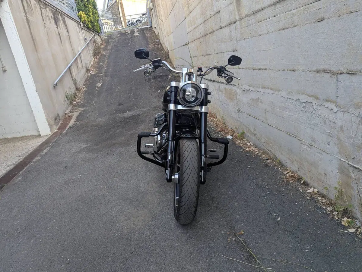 Harley-Davidson 107 Sport Glide (2018 - 20) (15)