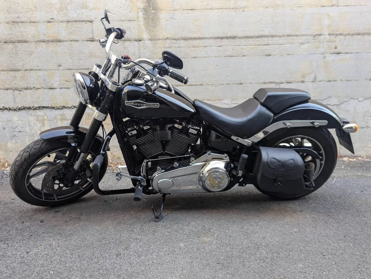 Harley-Davidson 107 Sport Glide (2018 - 20) (16)