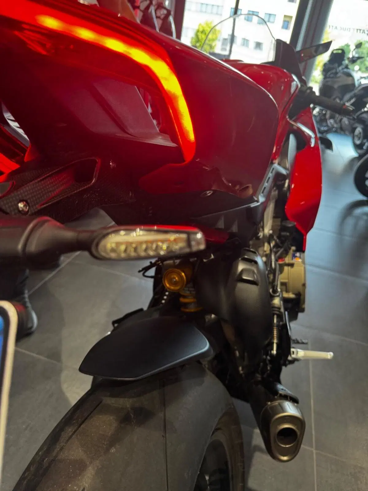 Ducati Panigale V4 S (2022 - 24) (19)