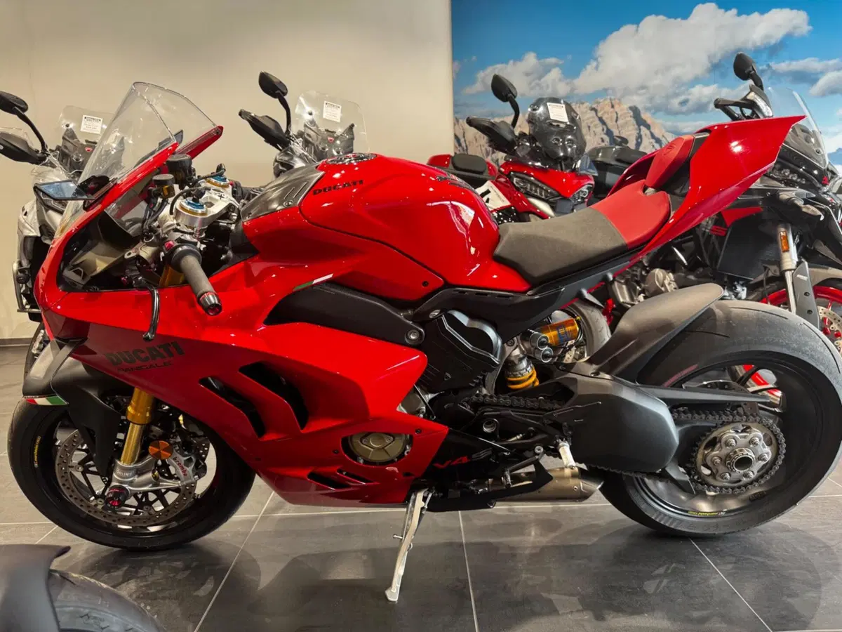 Ducati Panigale V4 S (2022 - 24) (3)