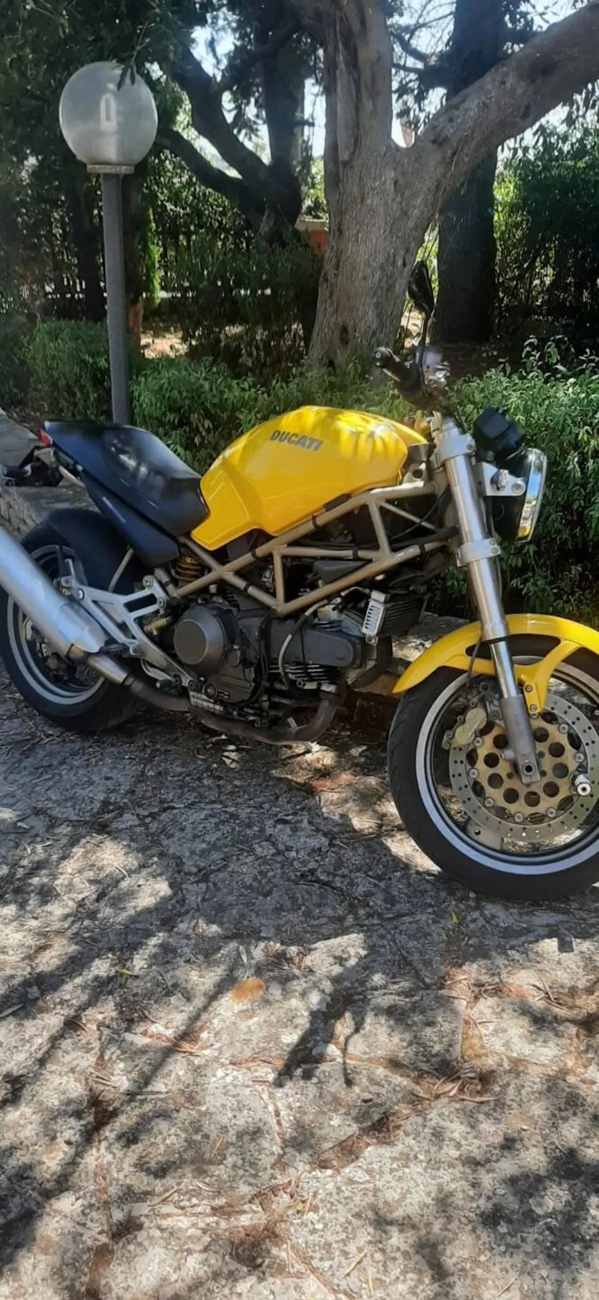 Ducati Monster 900 (1997 - 98)