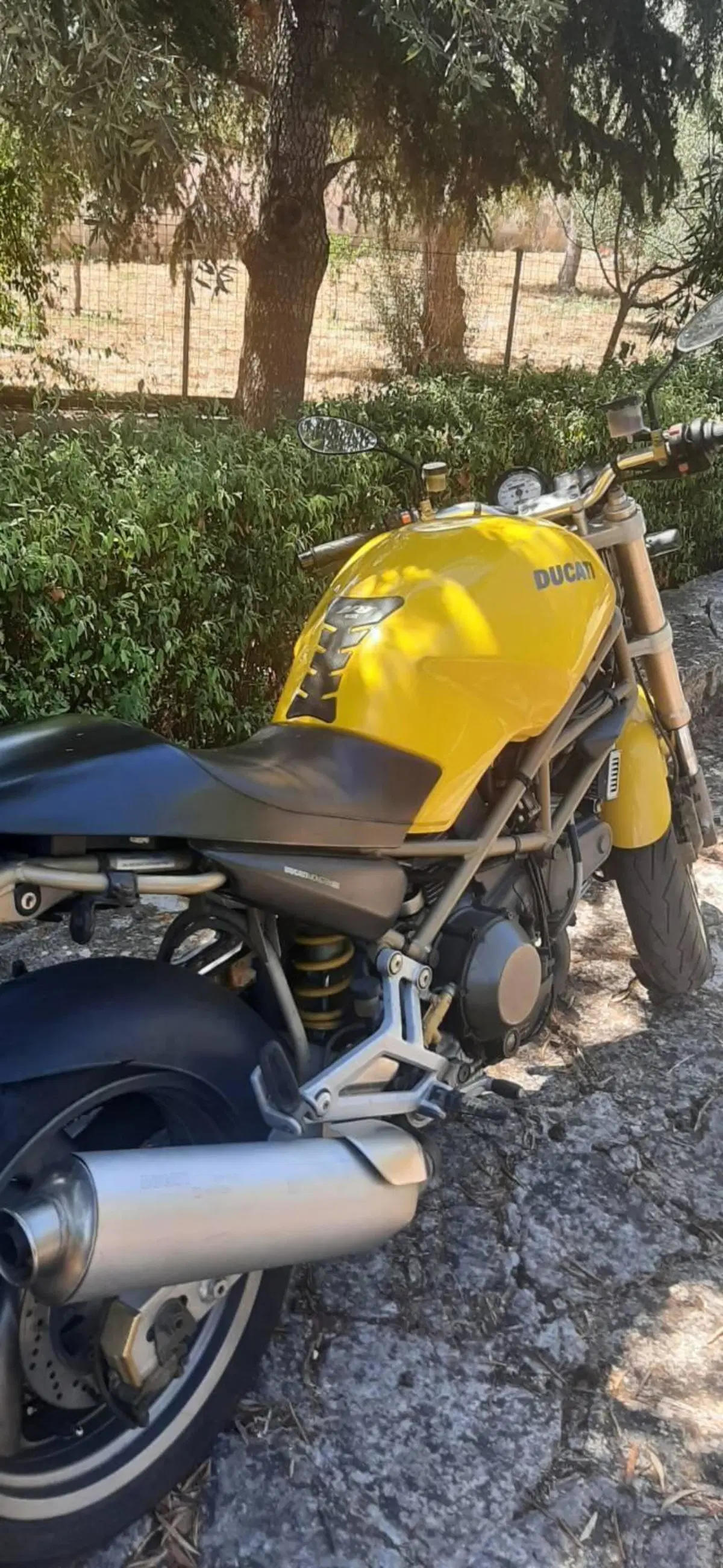 Ducati Monster 900 (1997 - 98) (2)