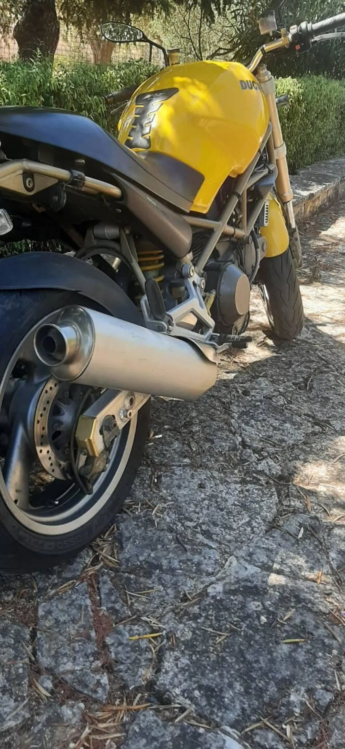 Ducati Monster 900 (1997 - 98) (5)