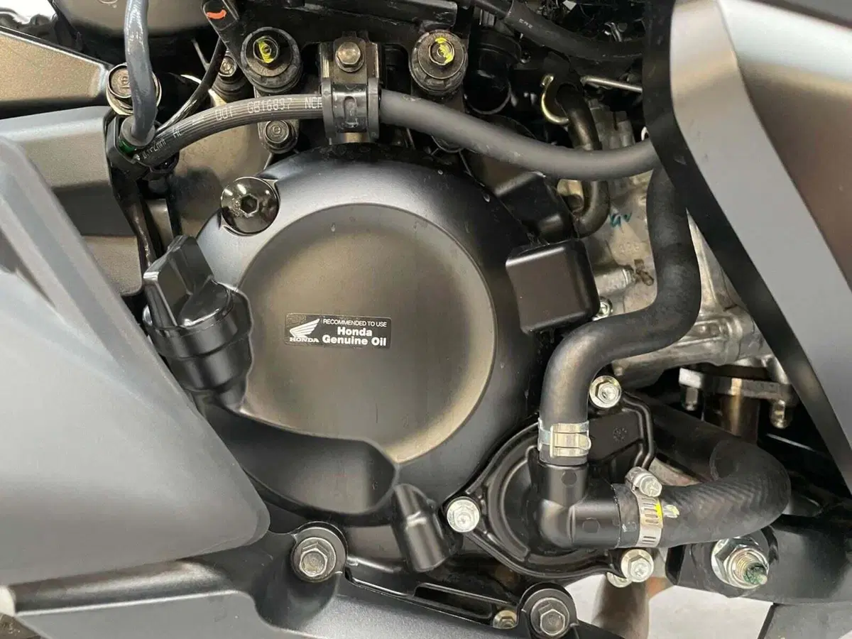 Honda Forza 350 (2022 - 24) (4)