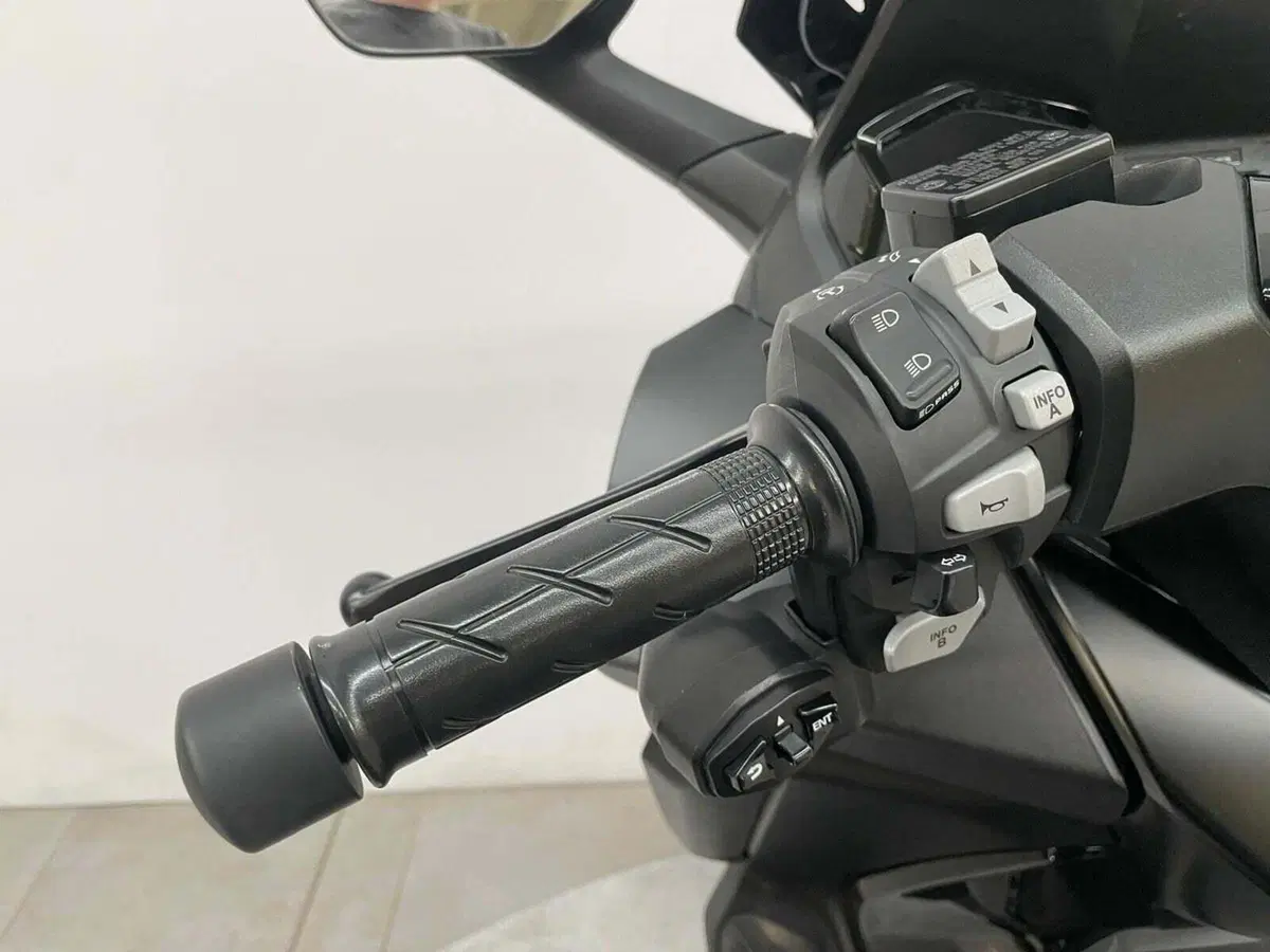 Honda Forza 350 (2022 - 24) (8)