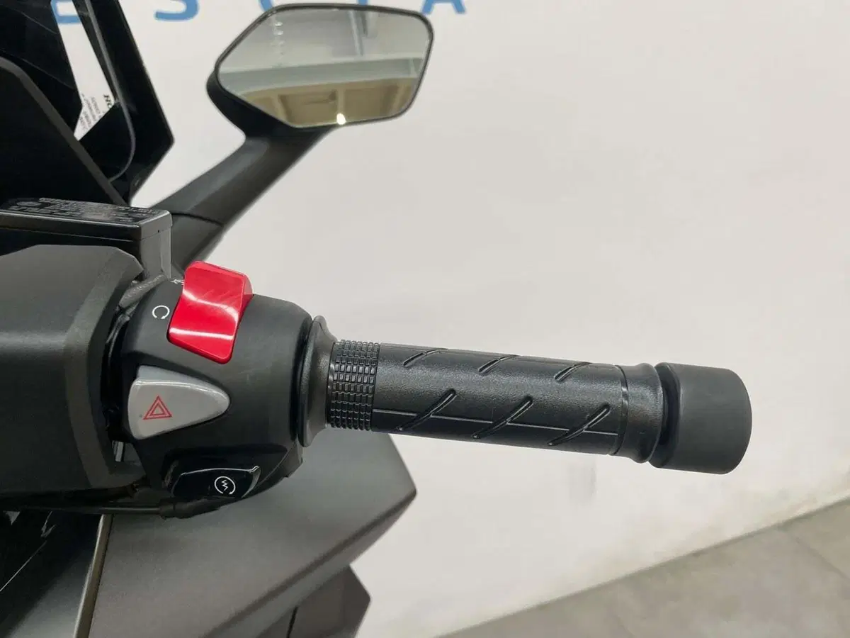 Honda Forza 350 (2022 - 24) (9)