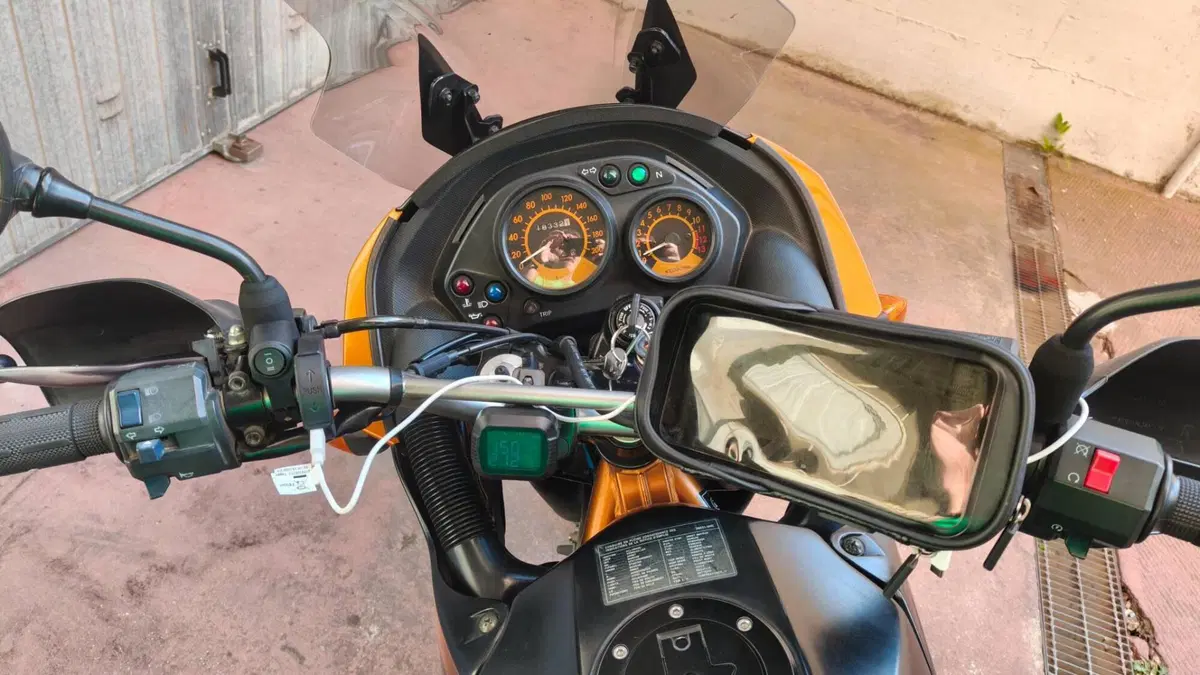 Kawasaki KLE 500 (2005 - 06) (9)