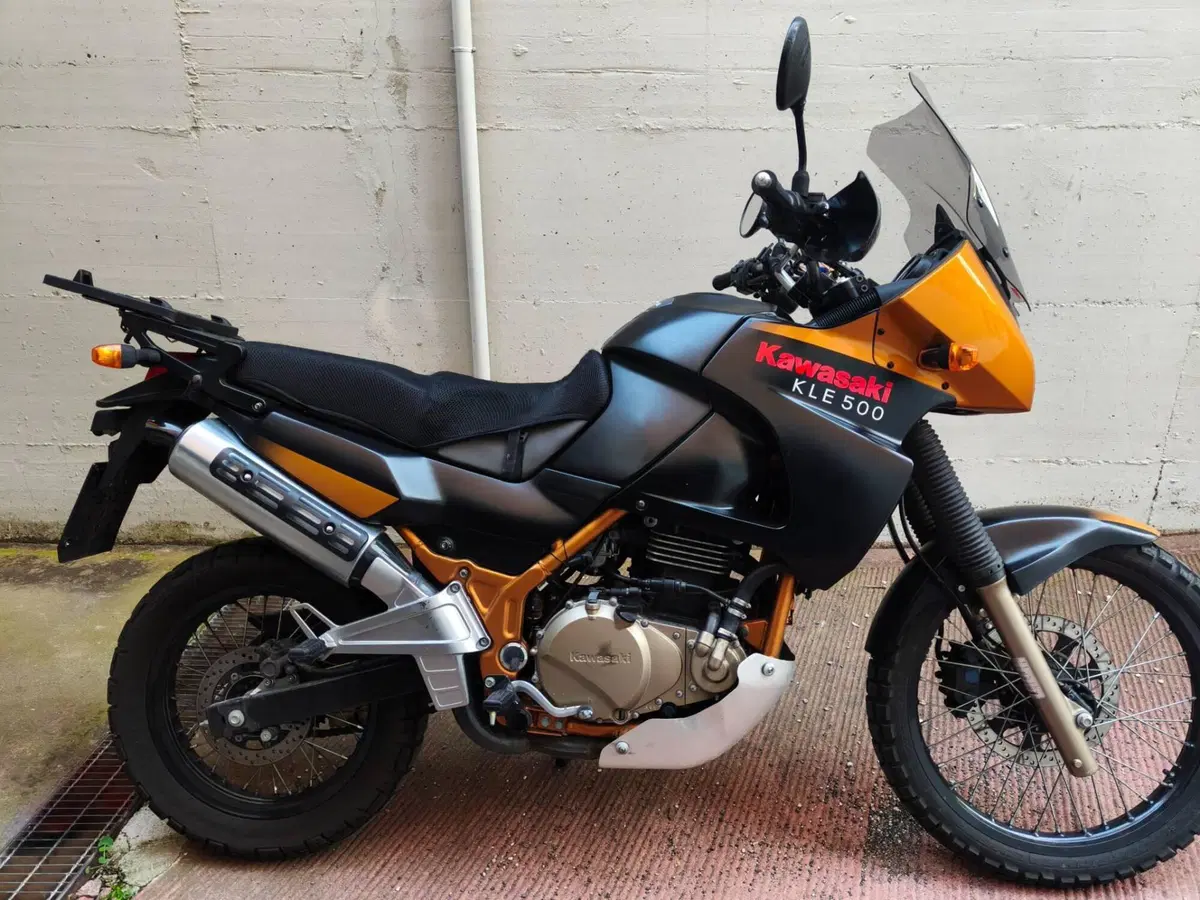 Kawasaki KLE 500 (2005 - 06) (10)