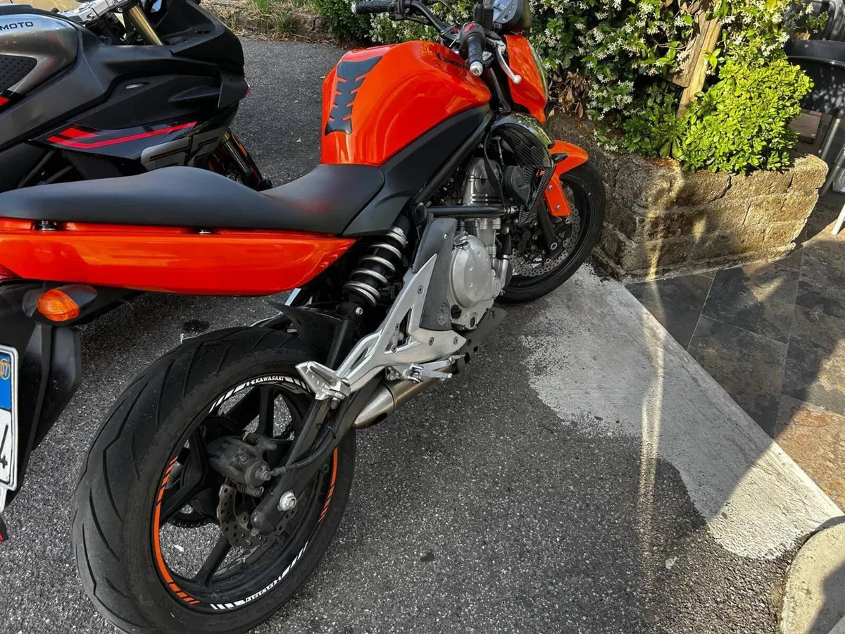 Kawasaki ER-6N (2006 - 09) (3)