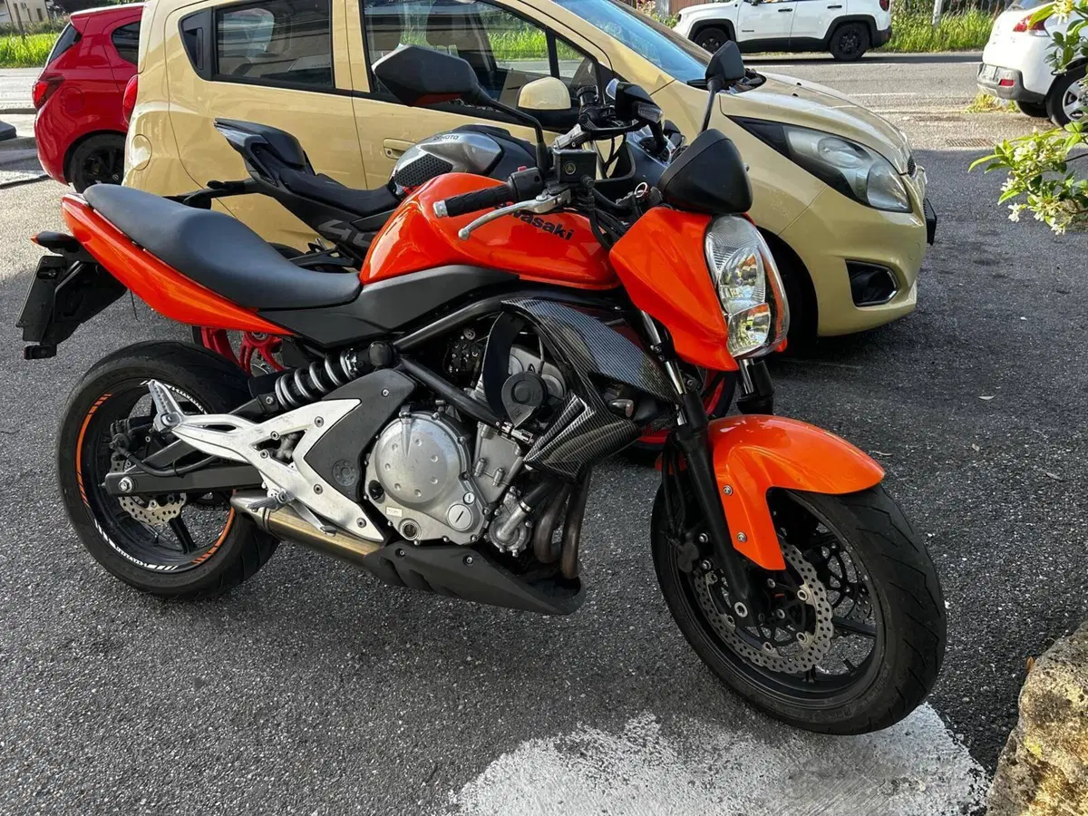 Kawasaki ER-6N (2006 - 09)