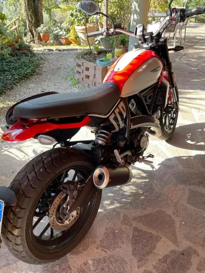 Ducati Scrambler 800 Icon (2023 - 24) usata