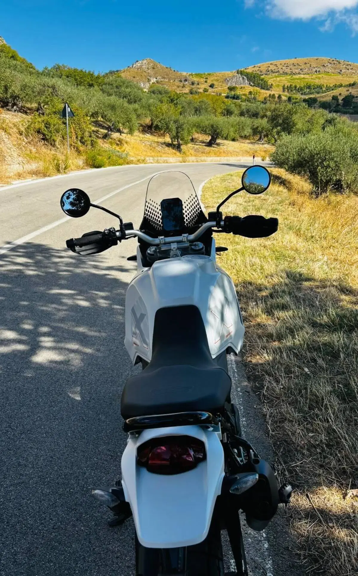 Ducati DesertX (2022 - 25) (3)