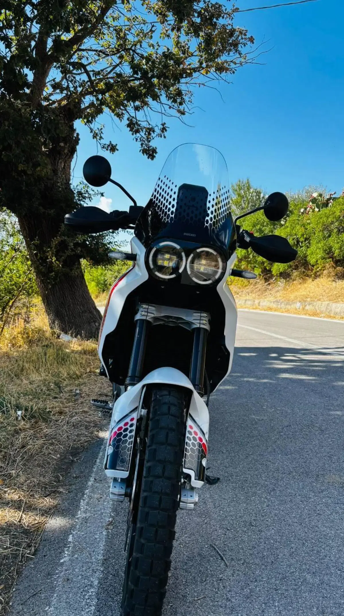 Ducati DesertX (2022 - 25) (4)