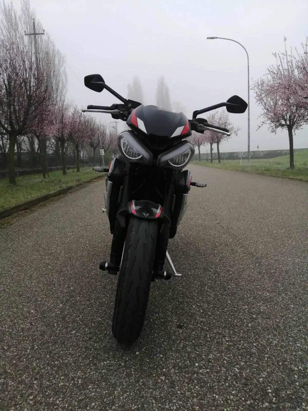 Triumph Street Triple R (2020 - 22) (3)