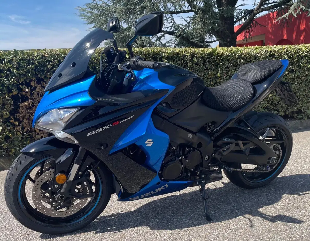 Suzuki GSX S 1000 F ABS (2017 - 20) (2)