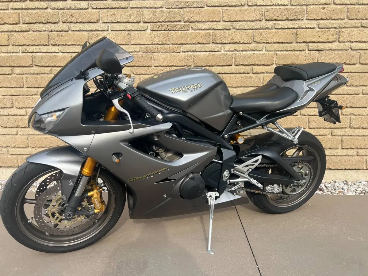 Triumph Daytona 675 (2006 - 08) (6)
