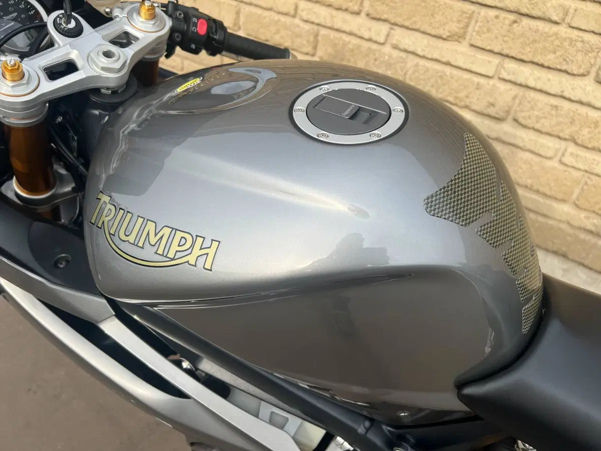 Triumph Daytona 675 (2006 - 08) (7)