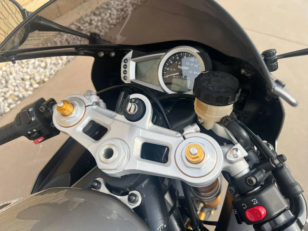 Triumph Daytona 675 (2006 - 08) (9)