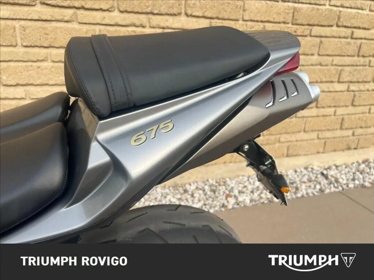 Triumph Daytona 675 (2006 - 08) (7)