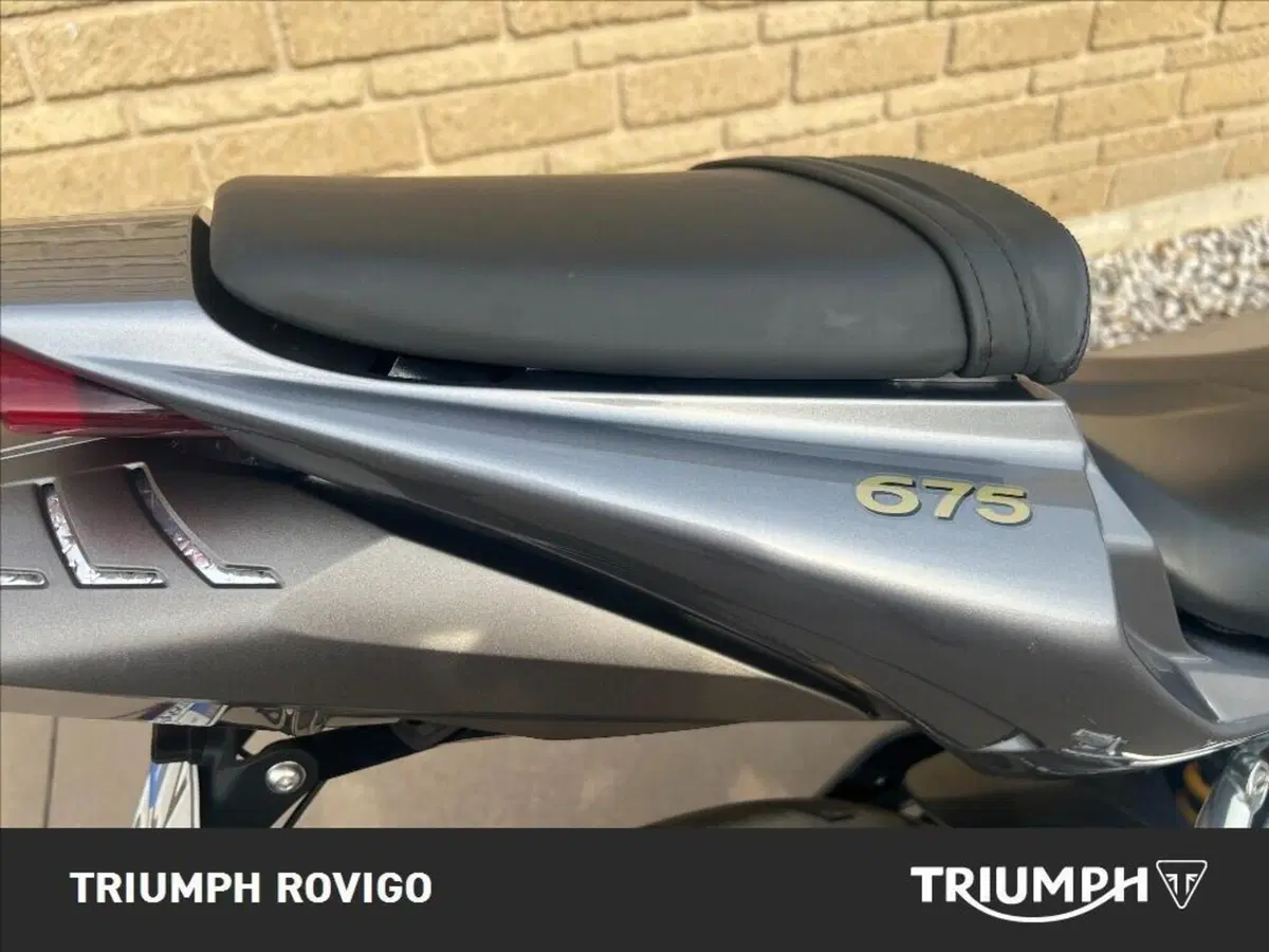Triumph Daytona 675 (2006 - 08) (4)