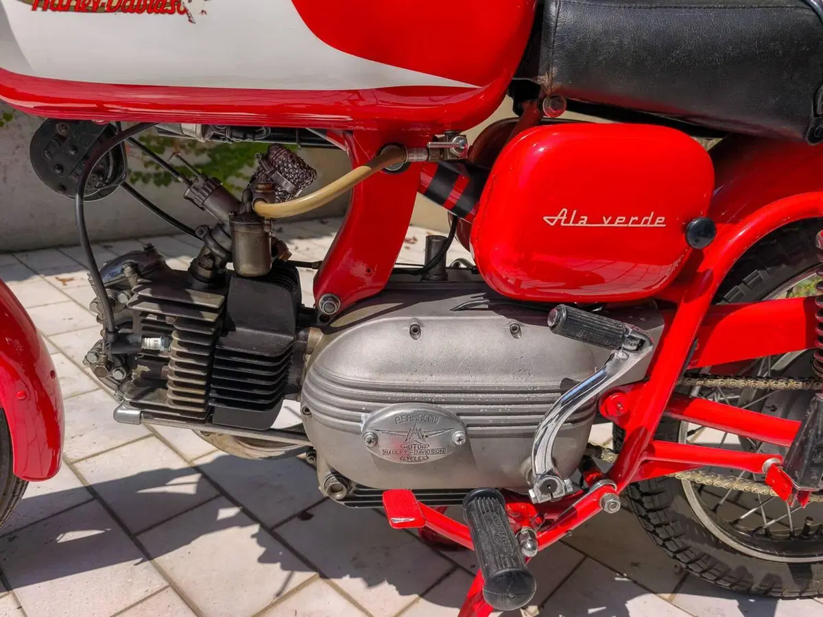 Aermacchi Harley-Davidson Ala Verde (2)