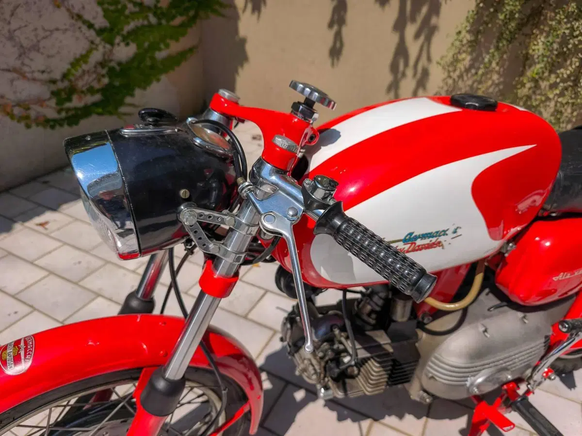 Aermacchi Harley-Davidson Ala Verde (3)