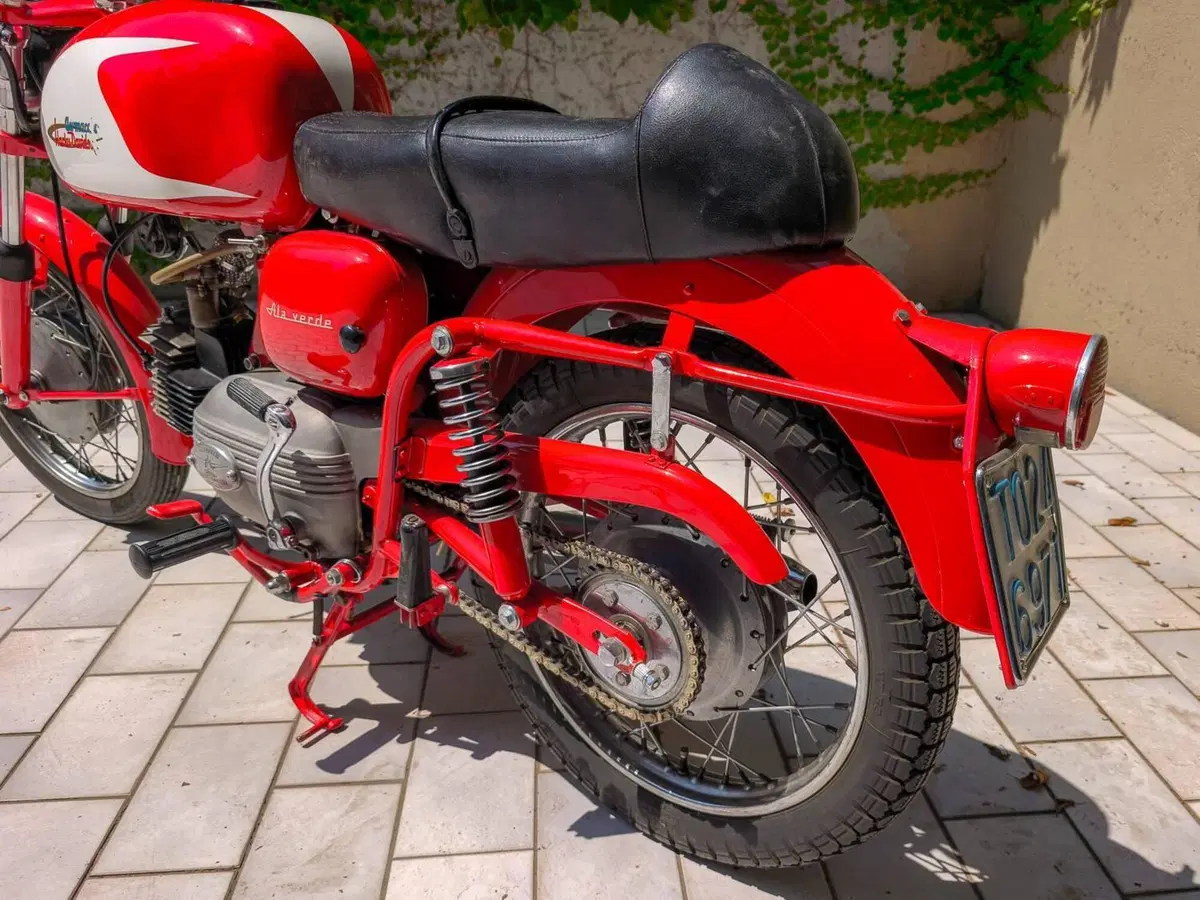 Aermacchi Harley-Davidson Ala Verde (4)