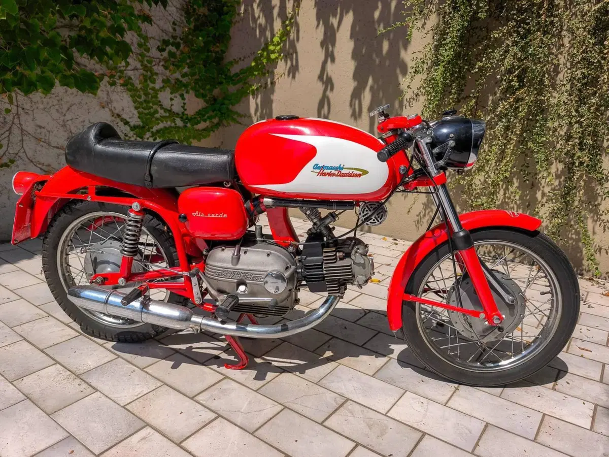 Aermacchi Harley-Davidson Ala Verde (8)