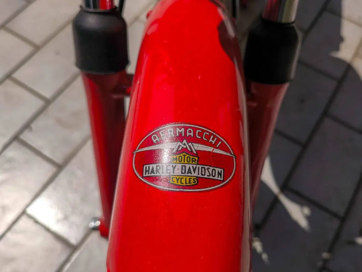 Aermacchi Harley-Davidson Ala Verde (10)