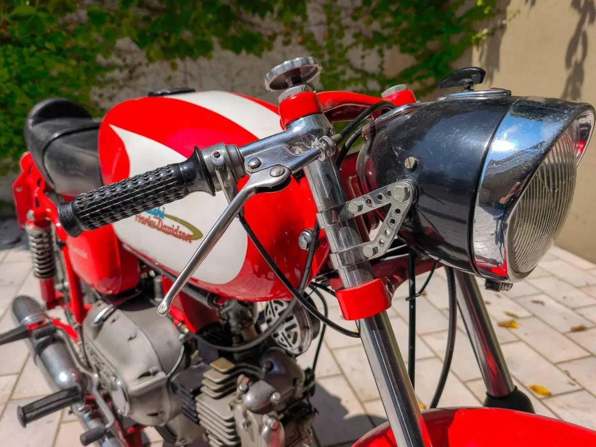 Aermacchi Harley-Davidson Ala Verde (11)