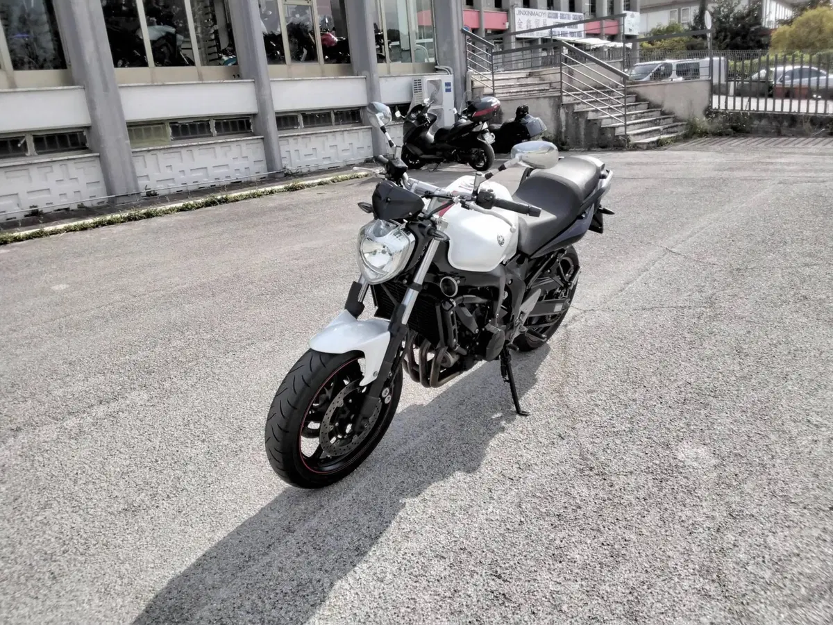 Yamaha FZ6 S2 (2007 - 11) (2)