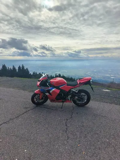Honda CBR 600 RR (2024 - 26) usata