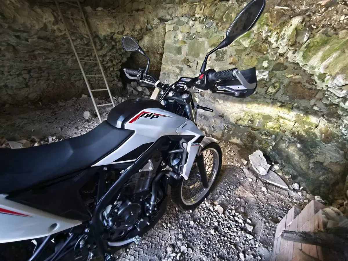 Betamotor Alp 4.0 (2024 - 26) (2)