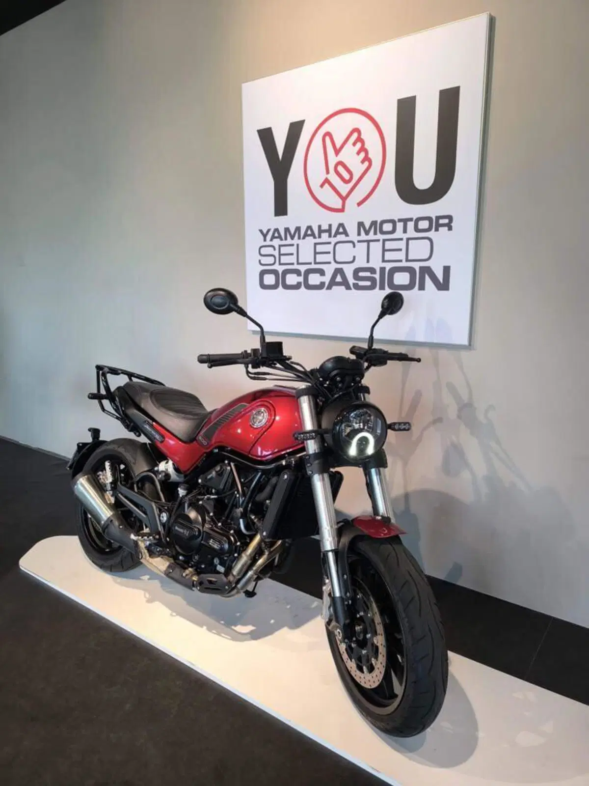 Benelli Leoncino 500 (2021 - 25) (2)