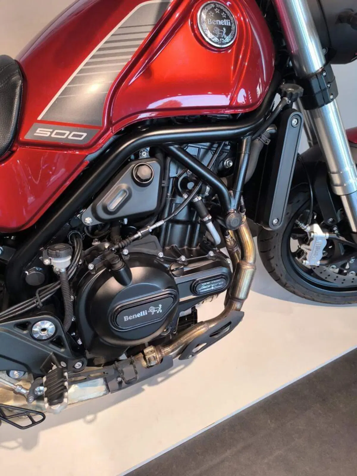 Benelli Leoncino 500 (2021 - 25) (4)