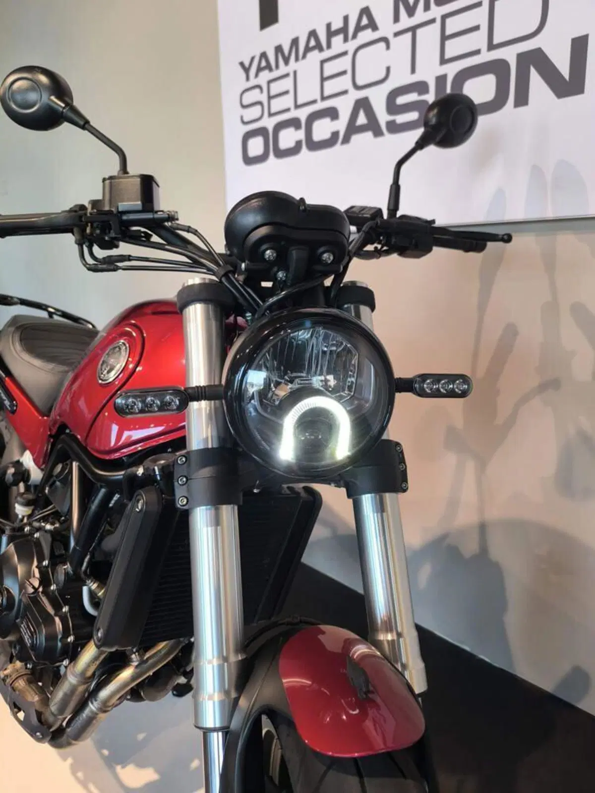Benelli Leoncino 500 (2021 - 25) (5)