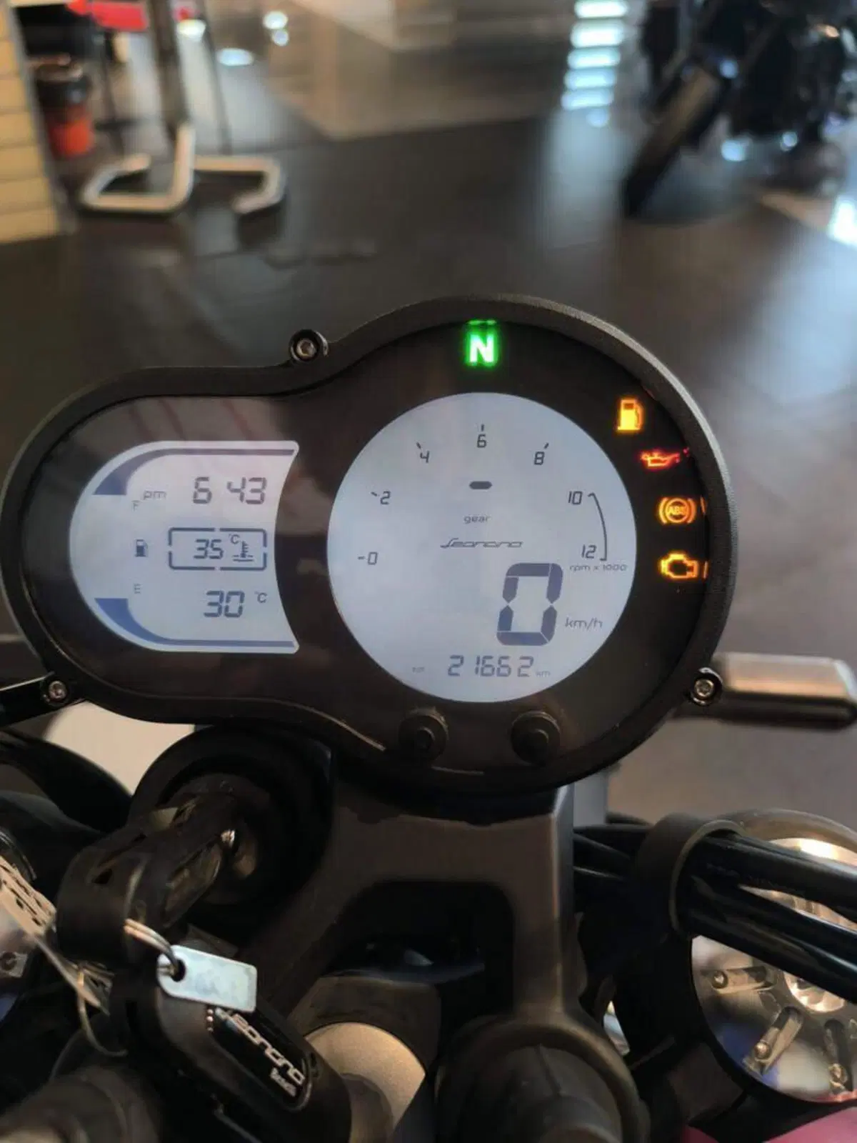 Benelli Leoncino 500 (2021 - 25) (6)